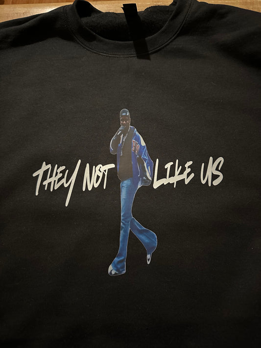 They not like us sweatshirt